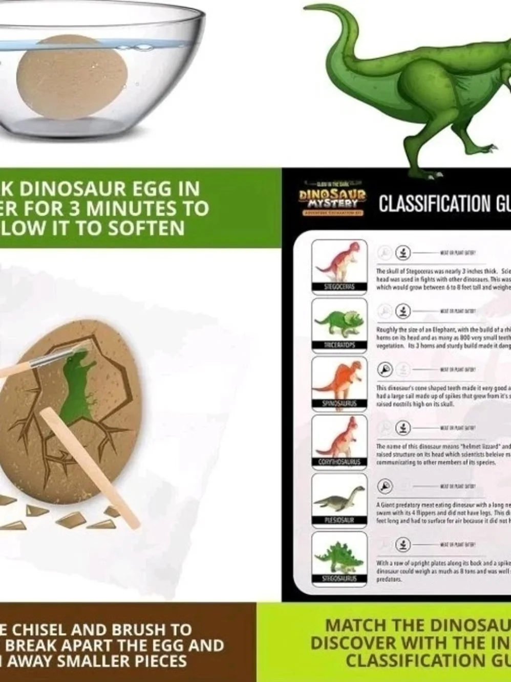 Excavation Adventure Dinosaur Eggs Kit-12 Mystery Glow in The Dark Science STEM